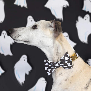 Be My Boo Bow Tie