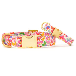 Bright Butterflies Dog Collar
