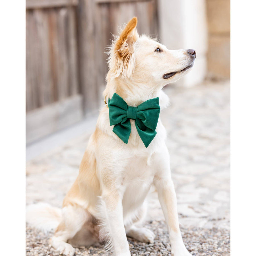 Forest Green Velvet Holiday Lady Dog Bow