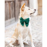 Forest Green Velvet Holiday Lady Dog Bow