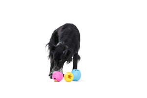 Rumbl® Puzzle Treat-Dispensing Enrichment Dog Toy
