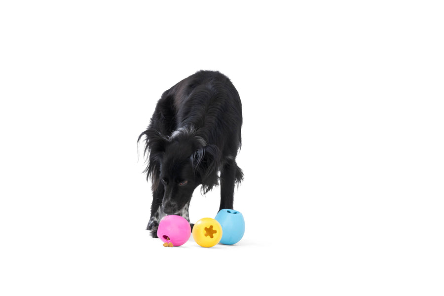 Rumbl® Puzzle Treat-Dispensing Enrichment Dog Toy