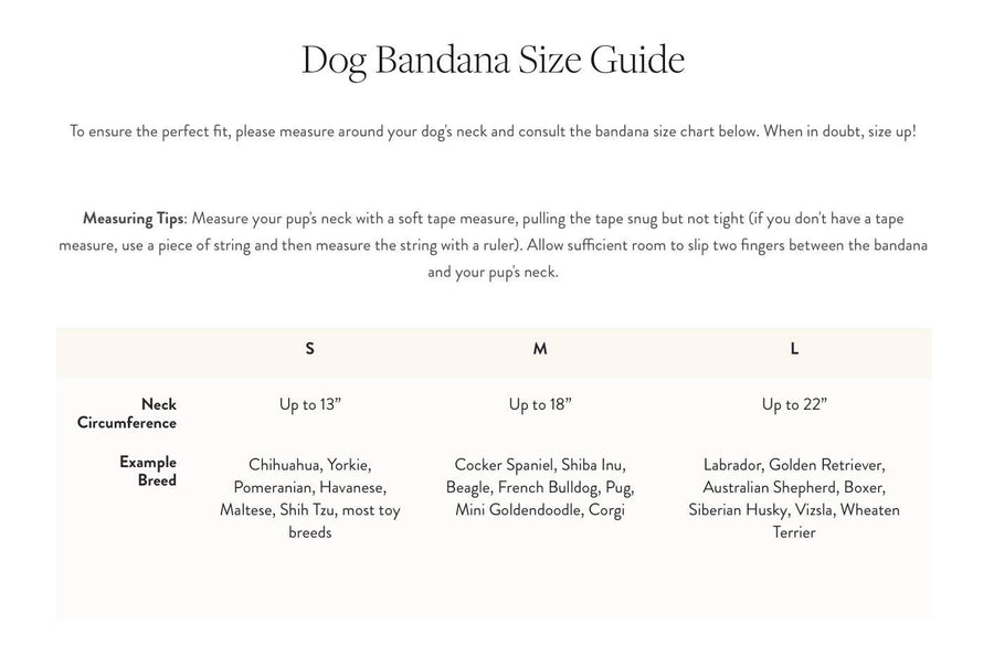 Over the Rainbow Dog Bandana