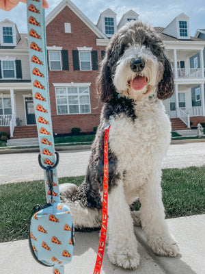 Dog Leash - One Hot Pupperoni (Food)