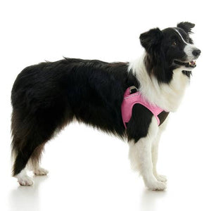 Escape Free Easy Fit Plus Harness- Portland Green