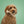 BetterBone Dog Chew: MEDIUM (Beef) Mini Size