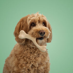 BetterBone Dog Chew: MEDIUM (Beef) Mini Size