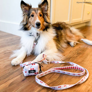 The Cheery Cherries Poop Bag Holder