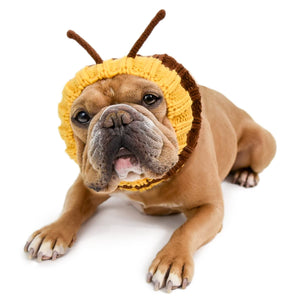 Bee Zoo Snood