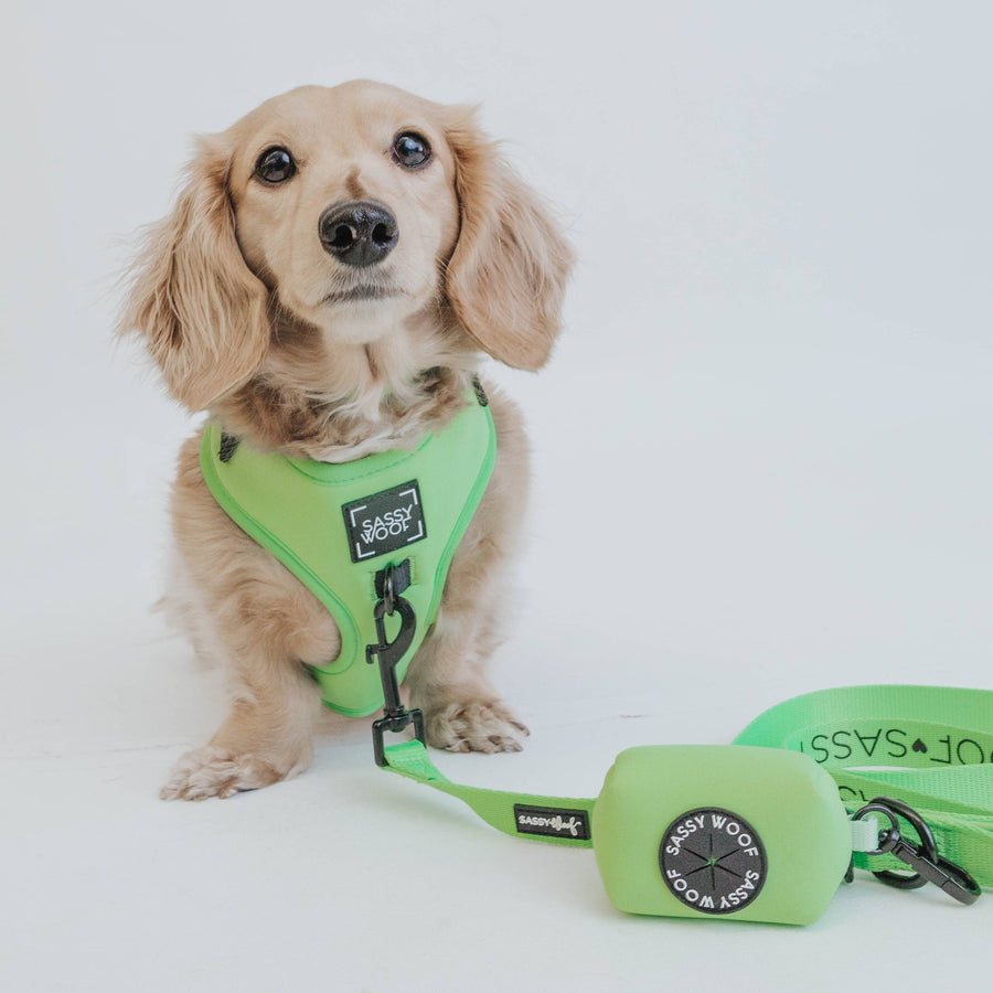 Dog Waste Bag Holder - Neon Green