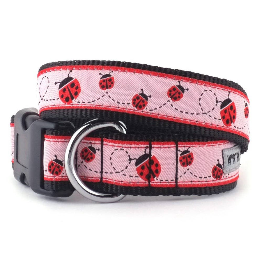 Ladybug Collar