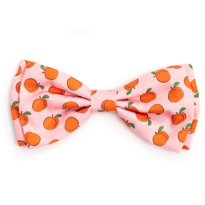 Peachy Keen Bow Tie