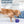 Planet Dog Orbee-Tuff Lil Snoop Treat-Dispensing Toy Purple