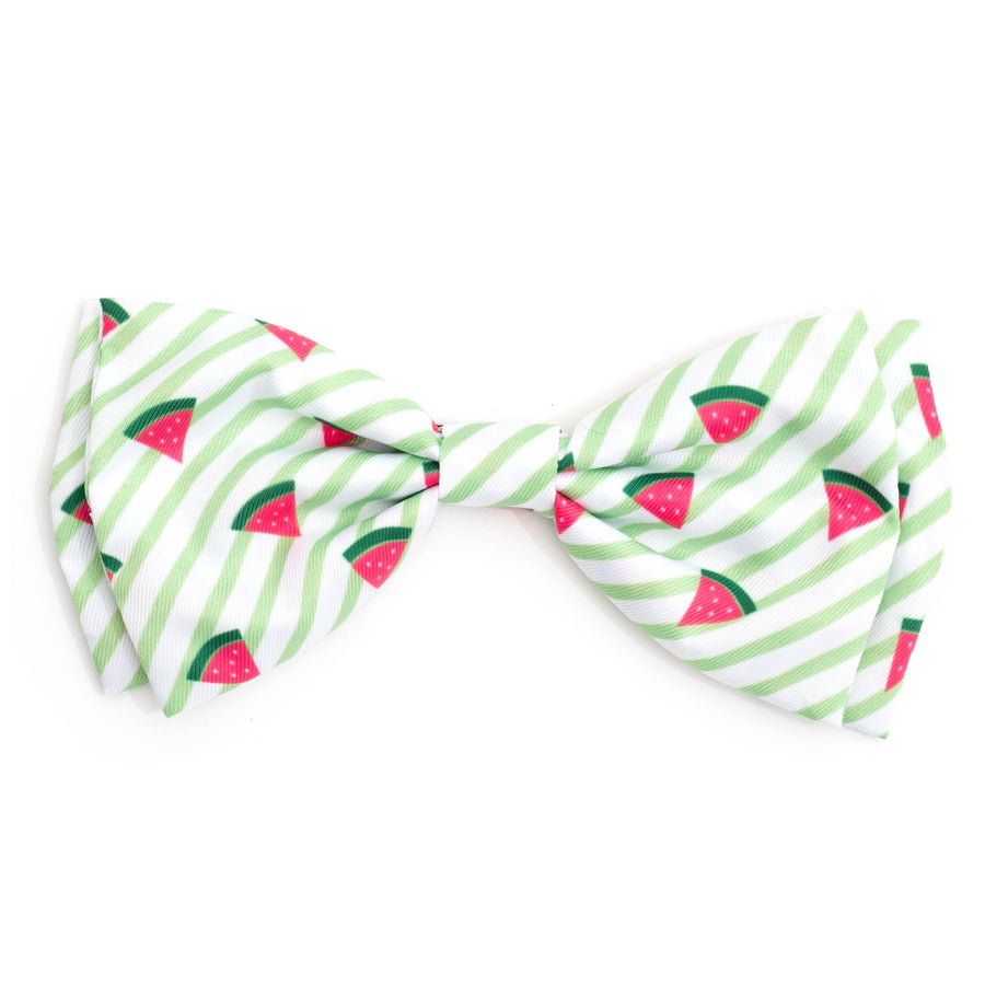 Stripe Watermelon Bow Tie