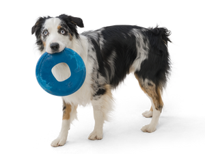 Sailz® Dog Flying Disc Fetch Toy