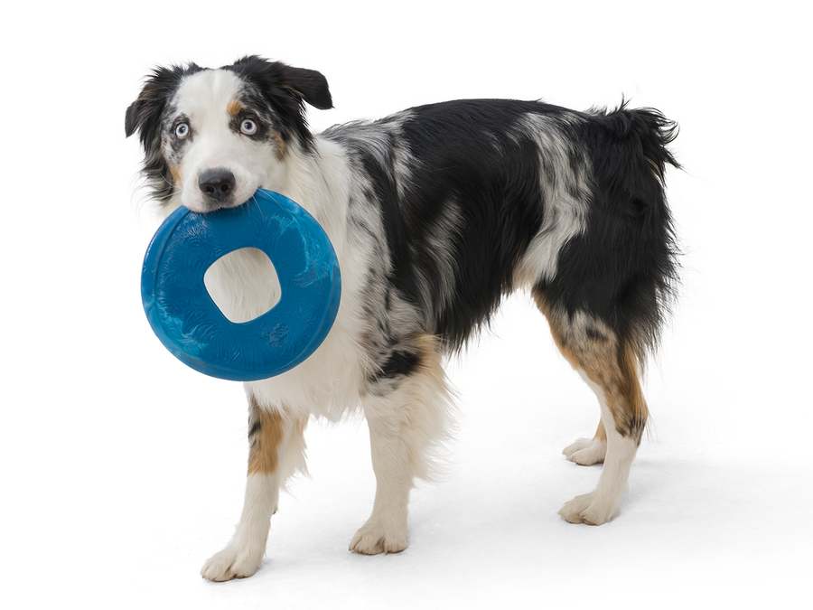 Sailz® Dog Flying Disc Fetch Toy