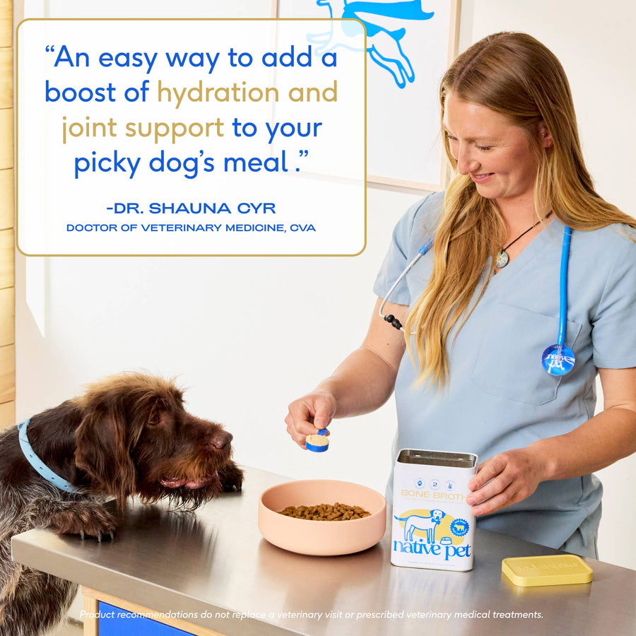 Organic Chicken Bone Broth Powder, Grain-Free Food Topper