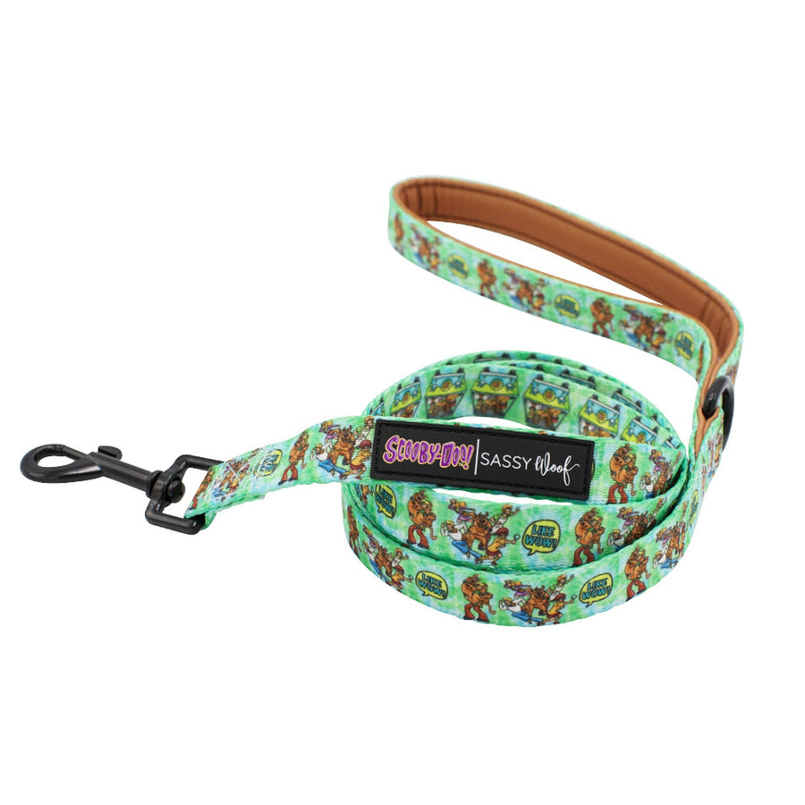 Dog Leash - Scooby-Doo™