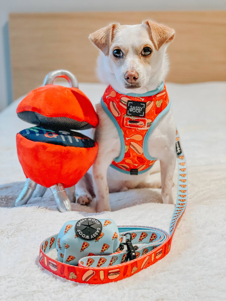 Dog Reversible Harness - One Hot Pupperoni