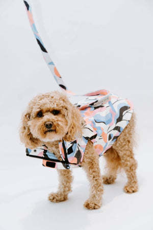 Leaf Dog Rain Jacket
