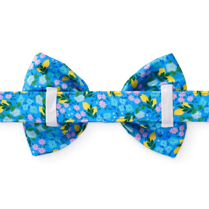 Bees in Bloom Dog Bow Tie