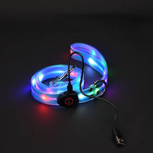 Lighted LED Dog Leash