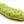ThoozyPet Pickle Plush Dog Toy 10"