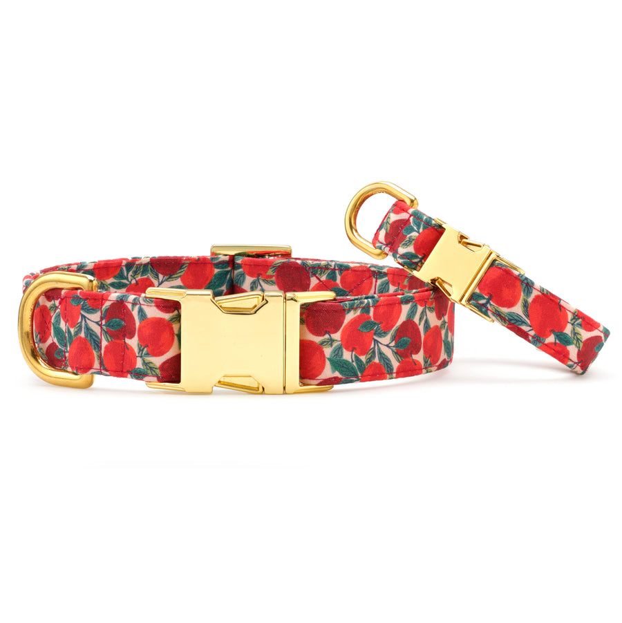 Foggy Dog Apple of My Eye Fall Dog Collar