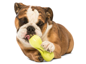 Qwizl® Dog Puzzle Treat-Dispensing Enrichment Toy