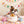 Pupsicle Pops- Birthday Pops