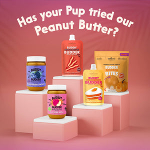 Buddy Budder 100% all-natural dog peanut butter - Beef Broth Budder