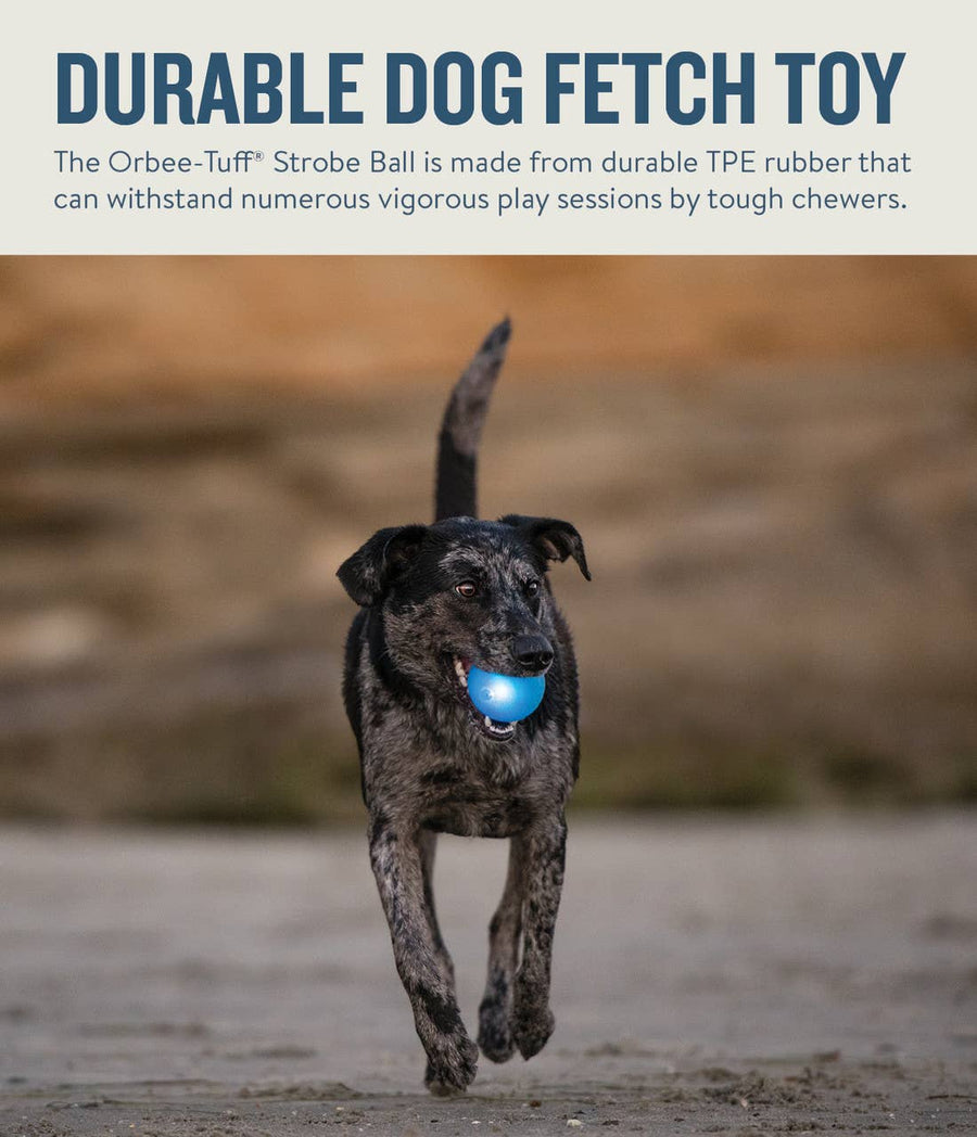 Planet Dog Orbee-Tuff Strobe Ball Light Up Dog Toy Blue
