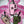 Pink Tumbler Poopy Loop® Used Dog Waste Bag Holder