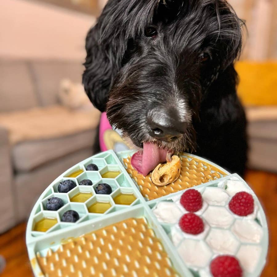 Buddy Budder 100% all-natural dog peanut butter - Beef Broth Budder