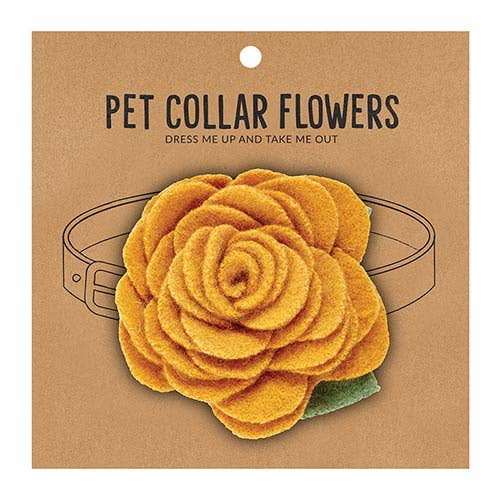 Medium Pet Collar Flower - Marigold