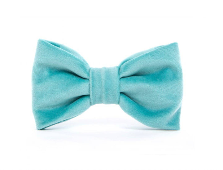 Robin's Egg Velvet Spring Dog Bow Tie
