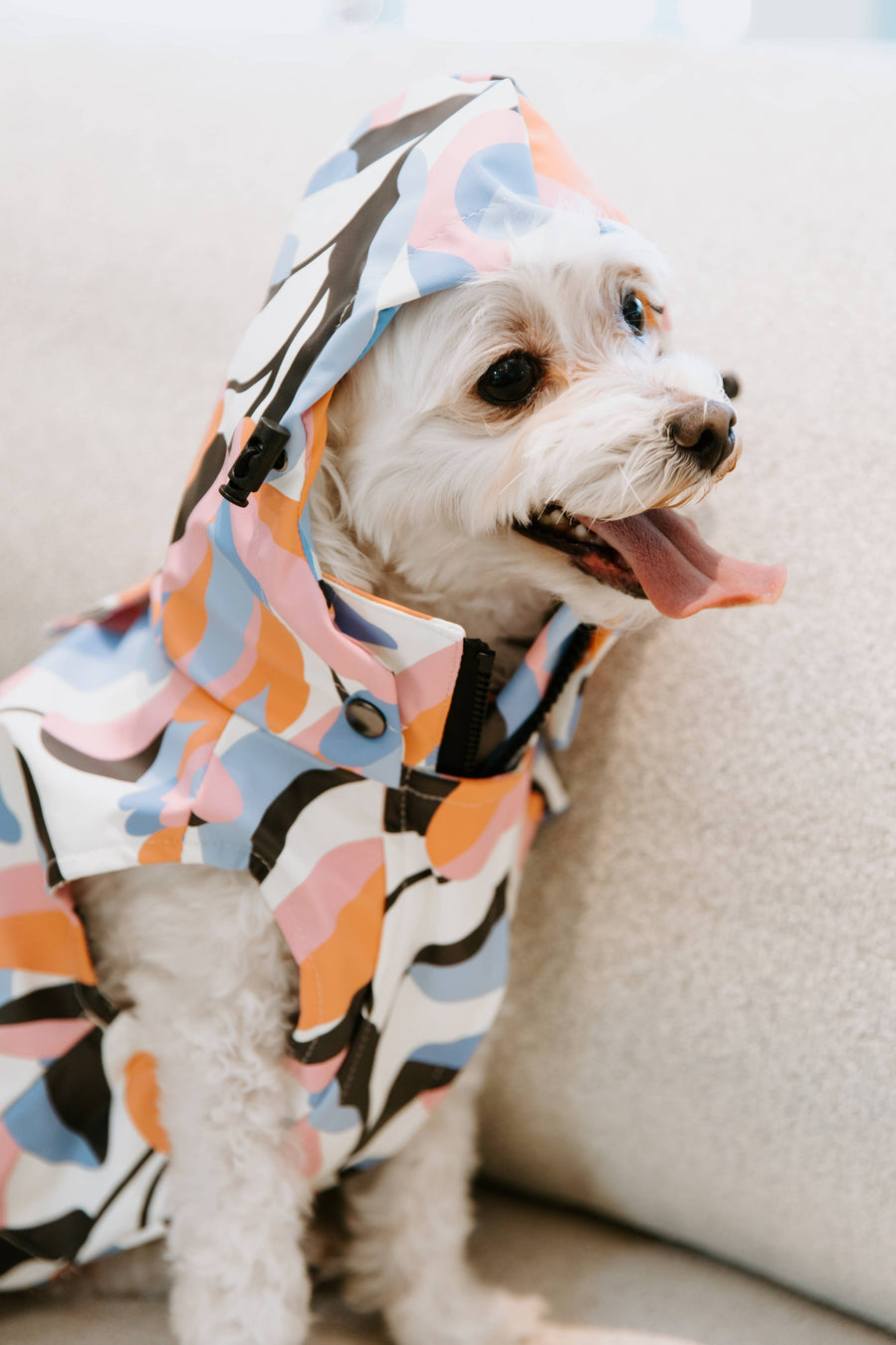Leaf Dog Rain Jacket