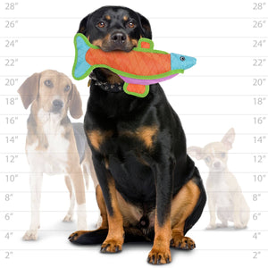 DuraForce Fish - Durable, Squeaky Dog Toy