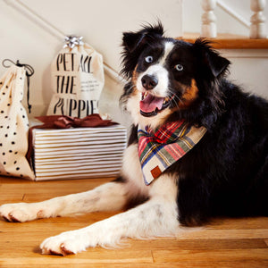 Foggy Dog Regent Plaid Flannel Holiday Dog Bandana