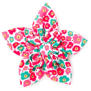 Fleurs Flower