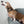 Obedience School Drop Out Collar Charm