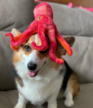SnugArooz Olivia the Octopus Plush Dog Toy 11"