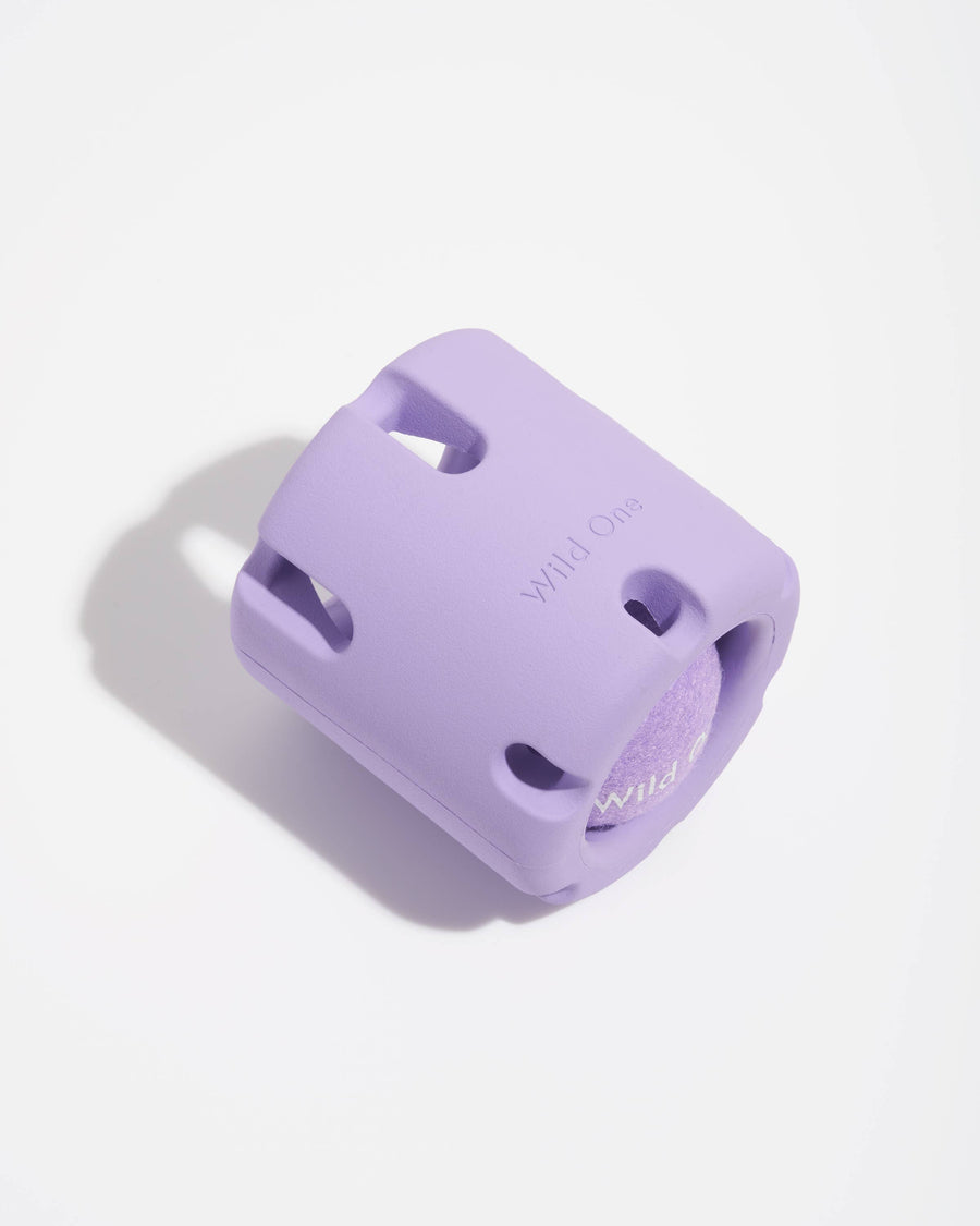 Tennis Tumble Interactive Dog Toy