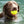 Indestructible Ball by Ruff Dawg