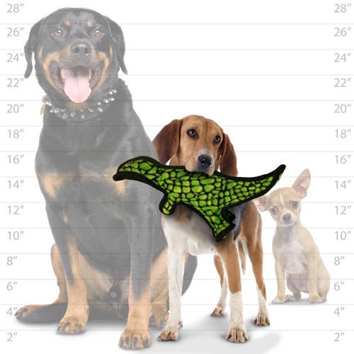 Tuffy Jr Dinosaur TRex, Durable, Squeaky Dog Toy