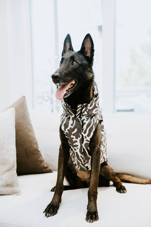 Abstract Dog Rain Jacket