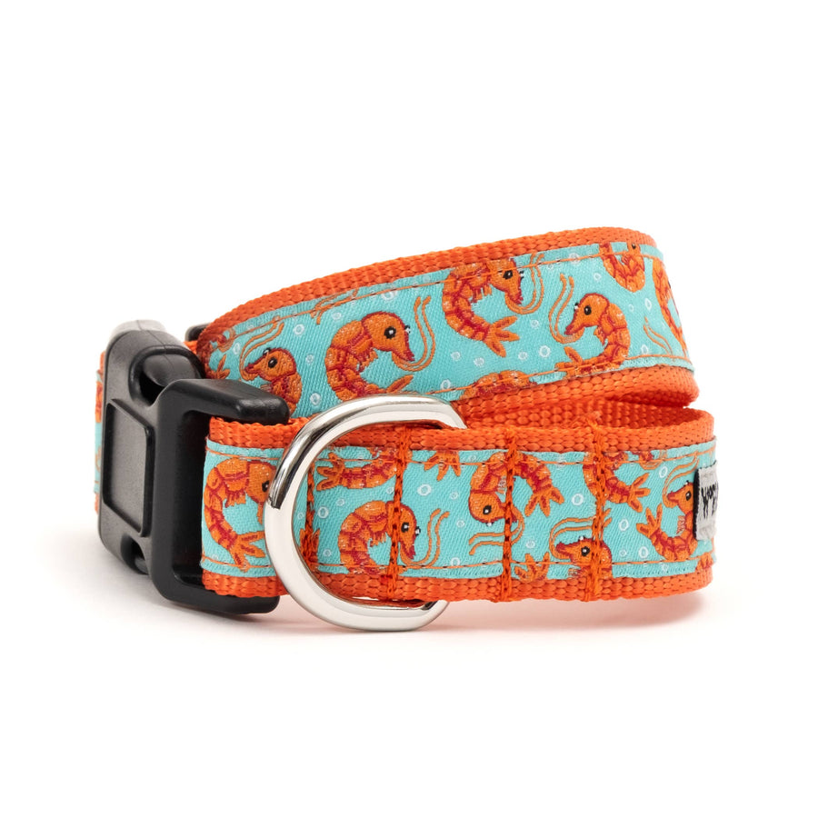Shrimp Collar