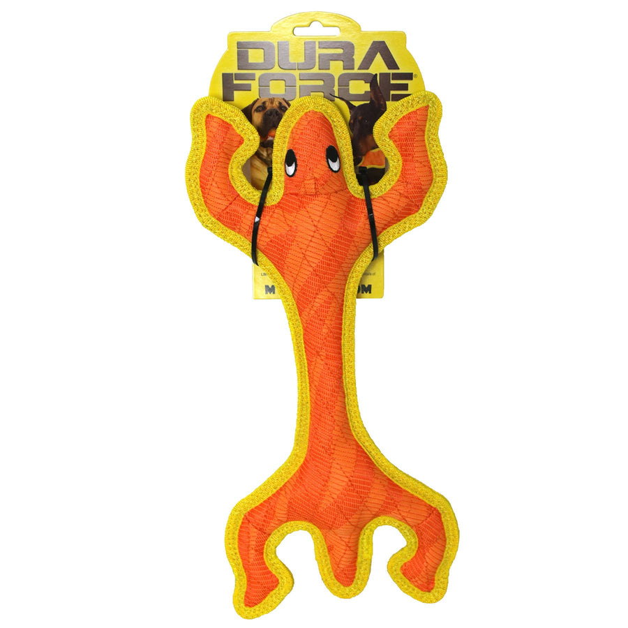 DuraForce Lizard - Orange, Durable, Squeaky Dog Toy