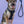 Dog Rope Leash - Ombre Blue