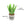 Blooming Buddies - Aloe-ve You Plant